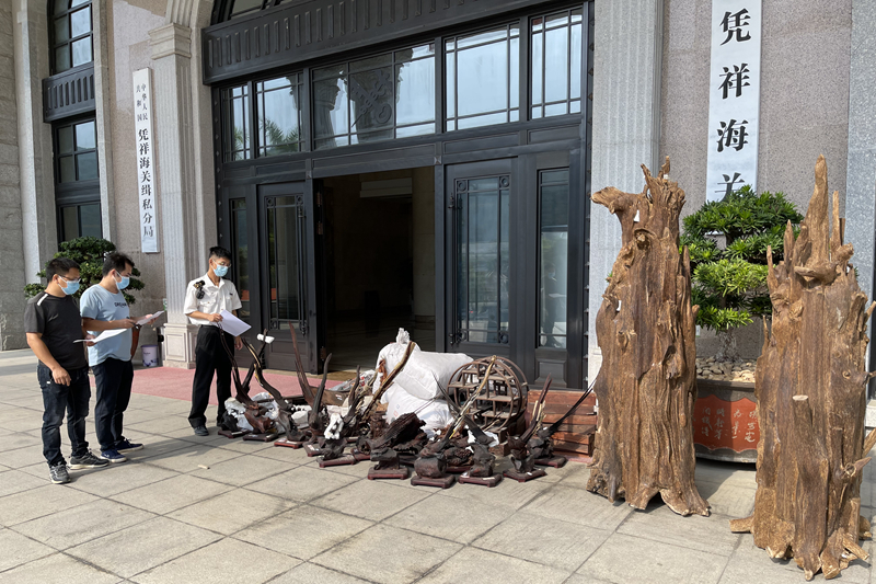 凭祥海关向林业部门移交沉香木、红木及红木工艺品 凭祥海关向林业部门移交沉香木、红木及红木工艺品