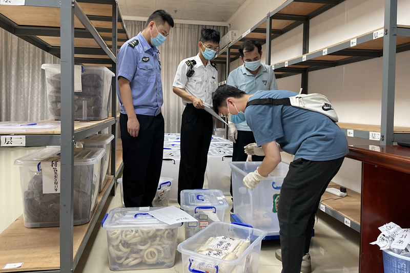 凭祥海关关员与林业部门工作人员清点拟移交的象牙及其制品 凭祥海关关员与林业部门工作人员清点拟移交的象牙及其制品