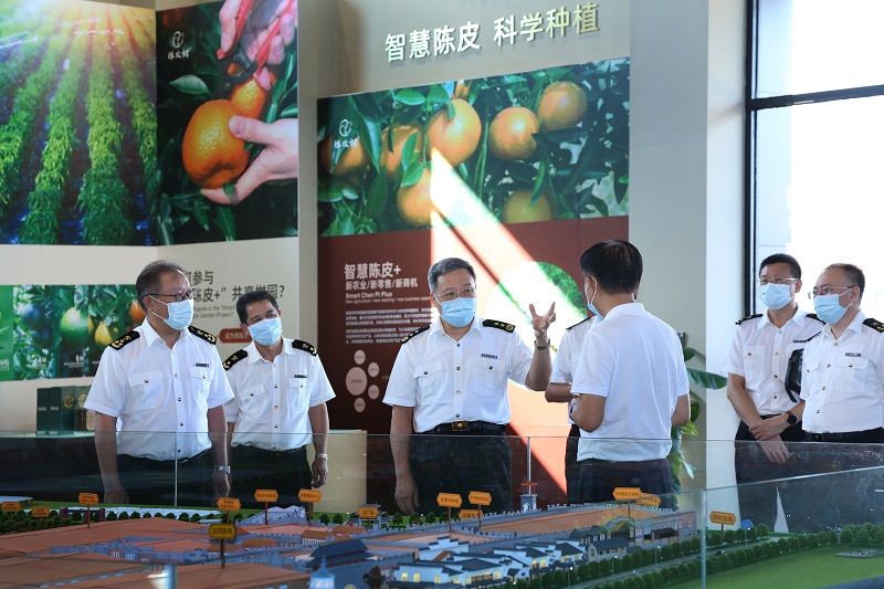 2021年9月15日，陶治国组长到新会调研摄影：黄志刚